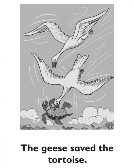 Two geese carry a turtle through the sky.
